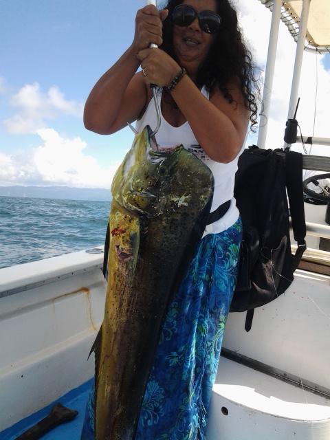 mahi dolphin el dorado costa rica sportfishing